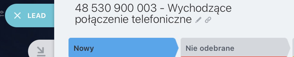 Pola obowiązkowe leada
